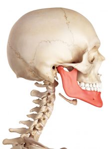 Anatomia Mandibula Clínica Dental Maxilofacial Aitziber Yagüe Cortázar