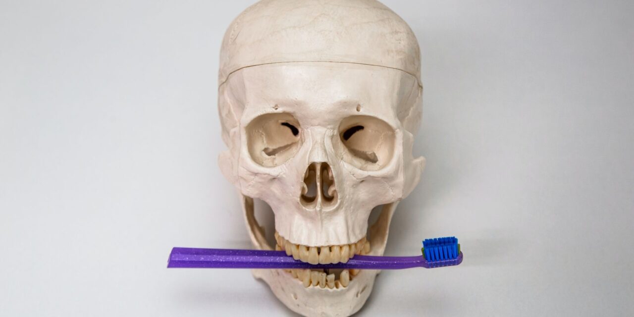 Implantación de tejido óseo humano en una Clínica Dental