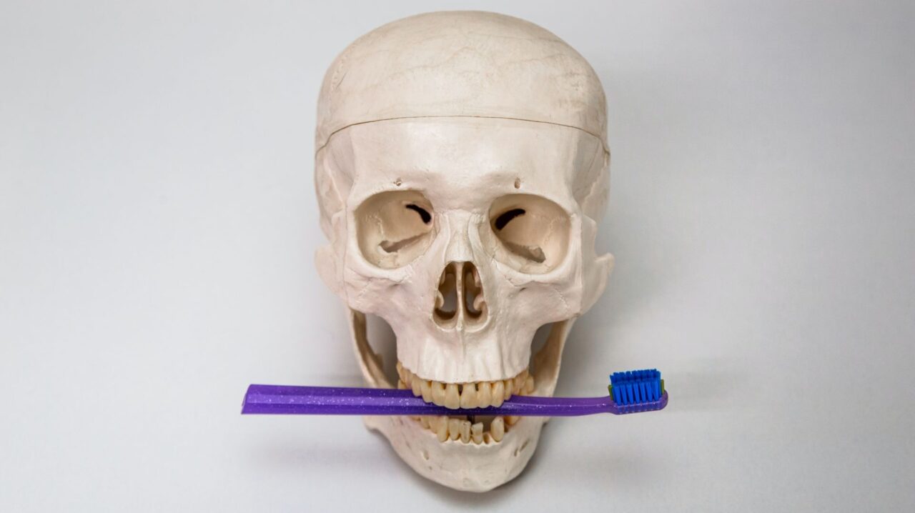 https://aitziberyaguecortazar.com/wp-content/uploads/2022/05/blog-implantacion-tejido-oseo-clinica-dental-maxilofacial-aitziber-yague-cortazar-soria-1280x718.jpg