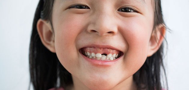 ¿Por qué se nos caen los dientes de leche? La respuesta está en un pez ancestral