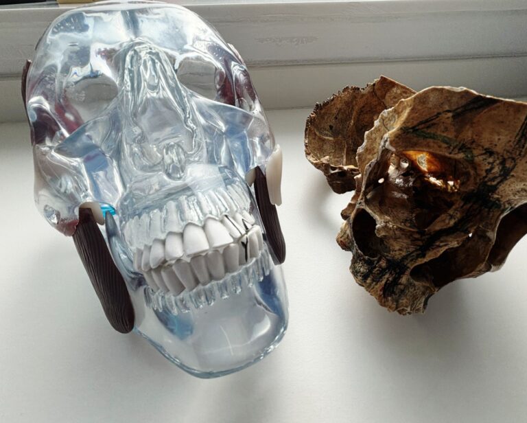 clinica-dental-soria (1) clinica-dental-soria (1)