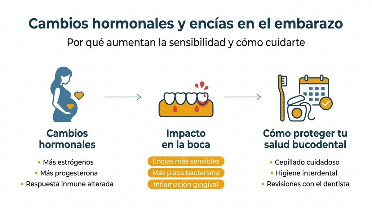 Diagrama sobre la relación entre cambios hormonales del embarazo y la sensibilidad de las encías.