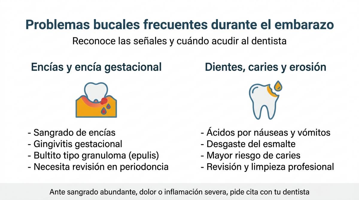 Infografía que resume los problemas bucales más frecuentes durante el embarazo en encías y dientes.